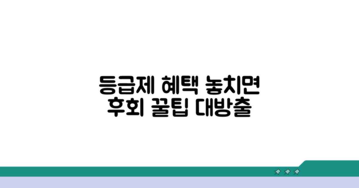 등급제 혜택 활용 꿀팁