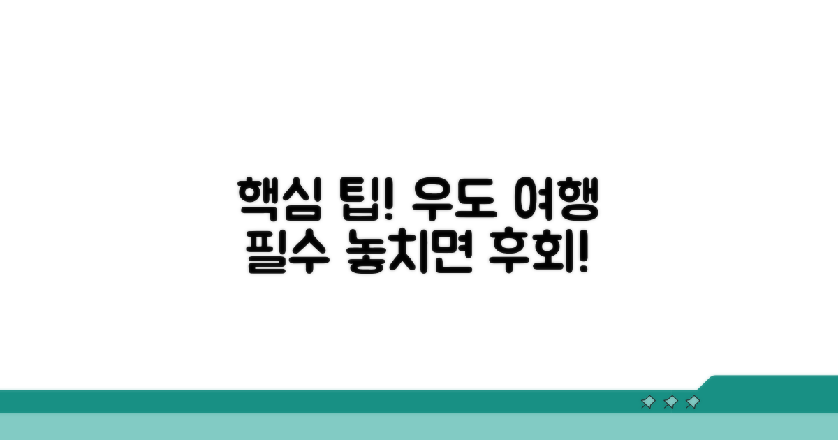 우도 여행을 위한 추가 팁