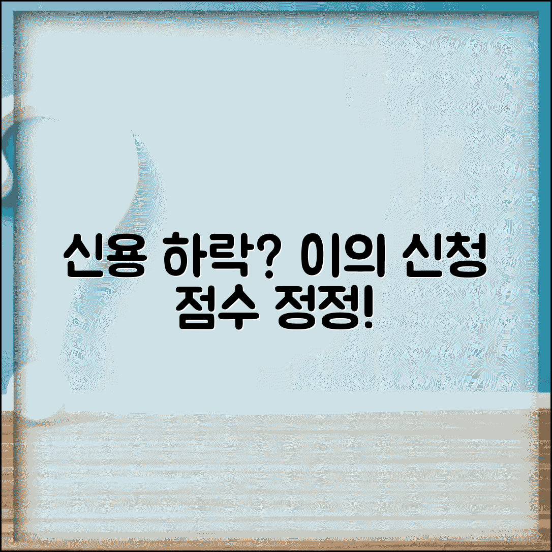 신용등급 하락 이의신청 | 신용 점수 정정 요청