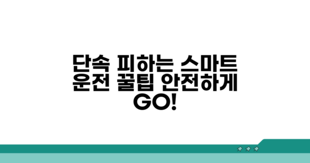 단속 피하는 스마트 운전 꿀팁