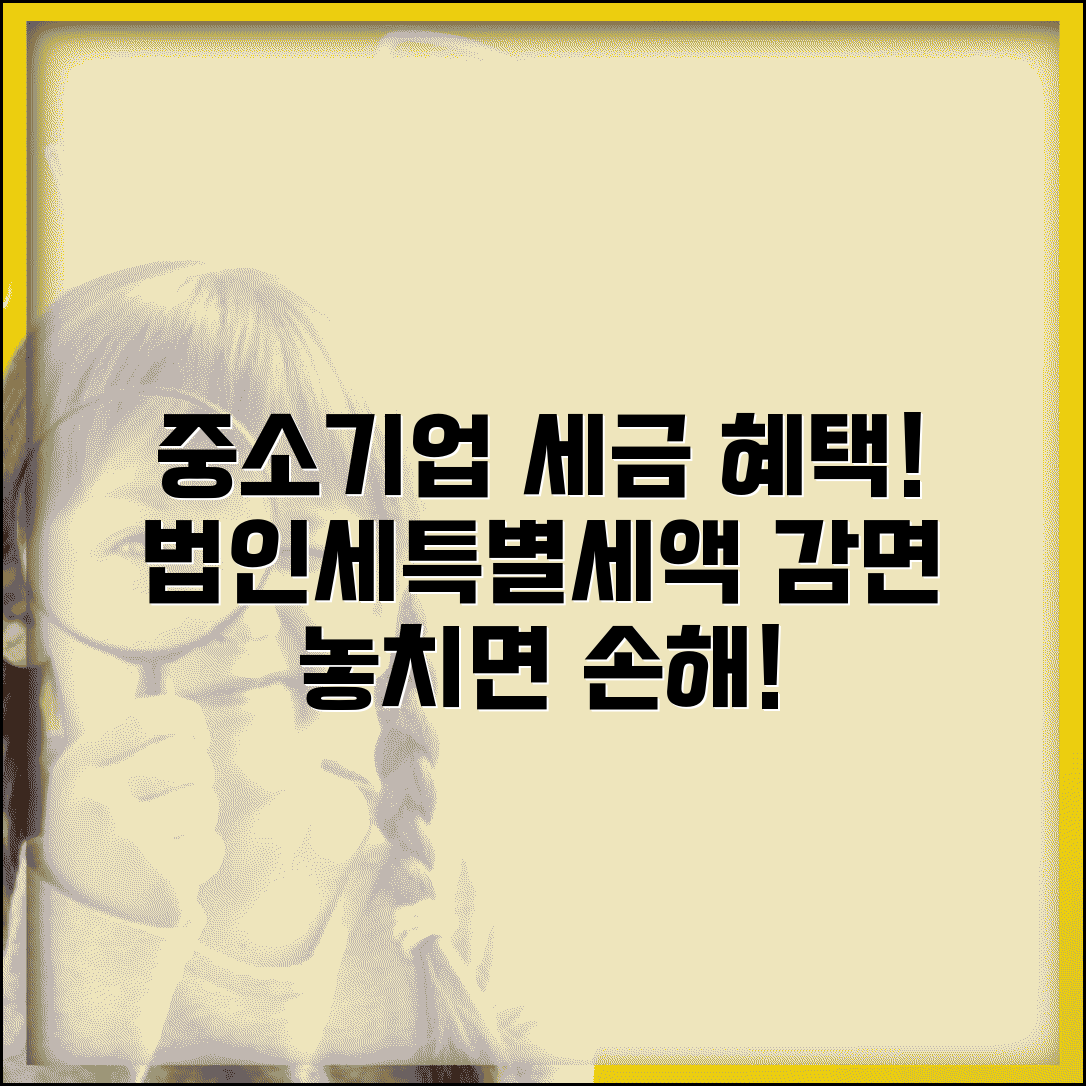 중소기업 특별세액감면 | 중소기업 세제혜택 | 소기업 법인세 감면