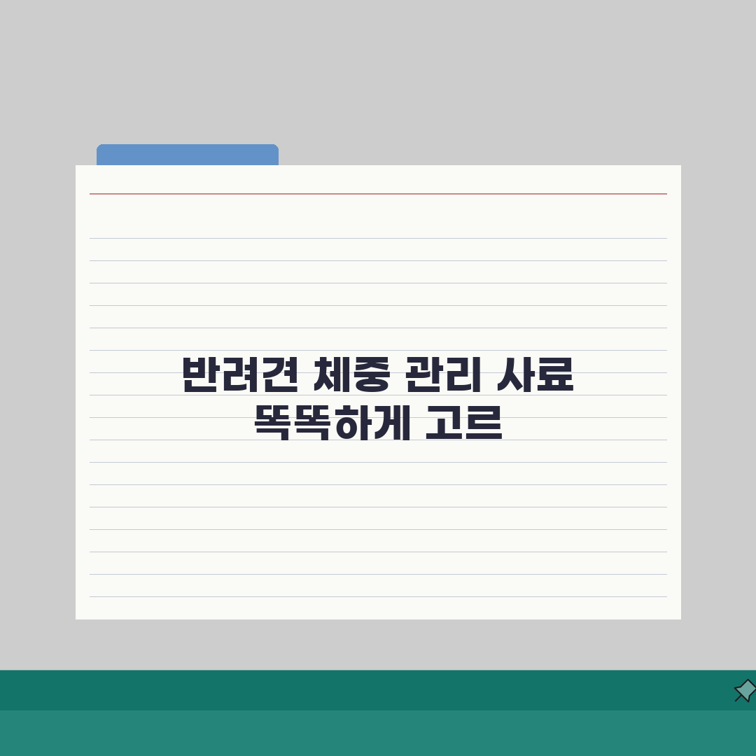 반려견 칼로리표와 체중 관리 사료 선택법 5가지 꿀팁