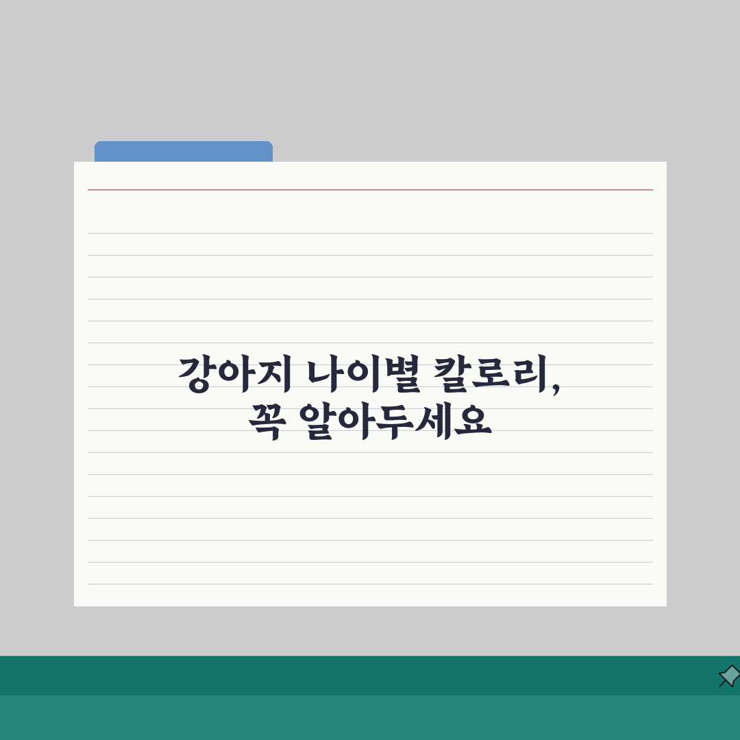 반려견 칼로리표와 체중 관리 사료 선택법 5가지 꿀팁