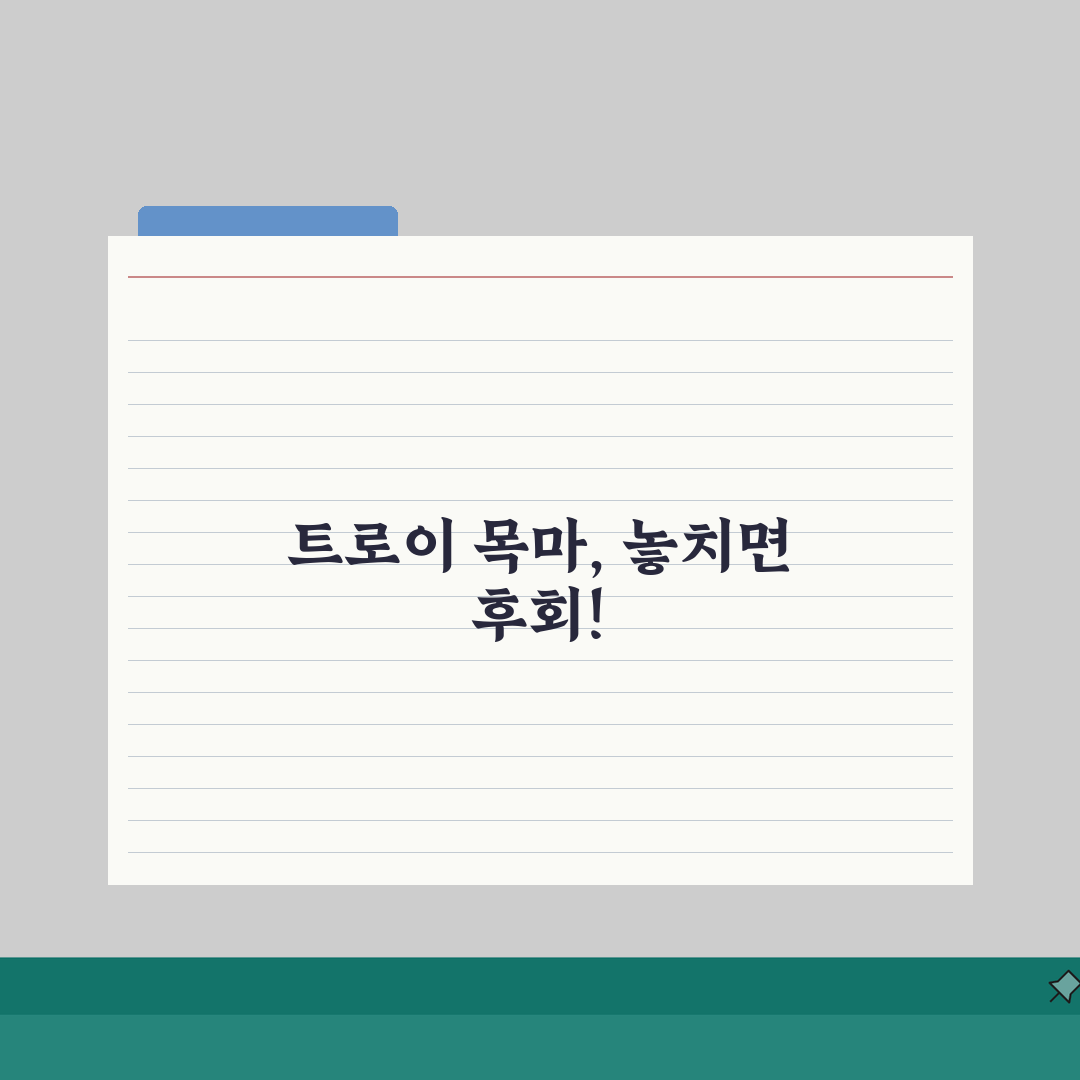 터키 트로이 목마 유적지 여행 가이드: 꿀팁 & 추천 경로