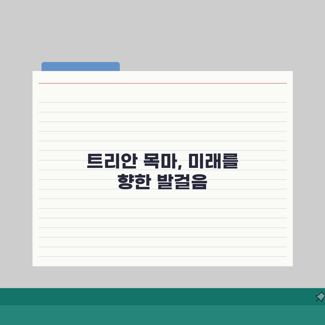 터키 트로이 목마 유적지 여행 가이드: 꿀팁 & 추천 경로