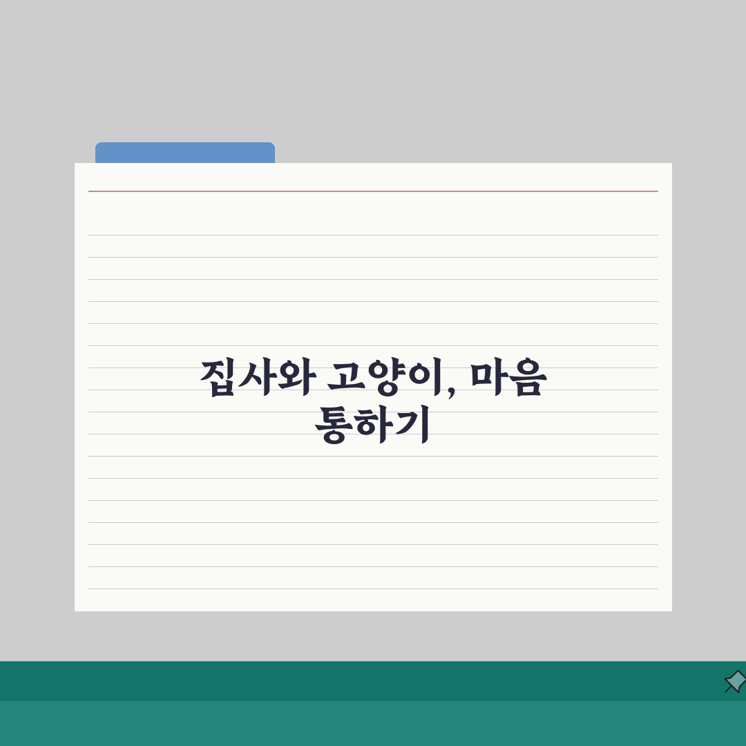 반려묘 행동 이해하기, 우리 아이 속마음 읽는 법