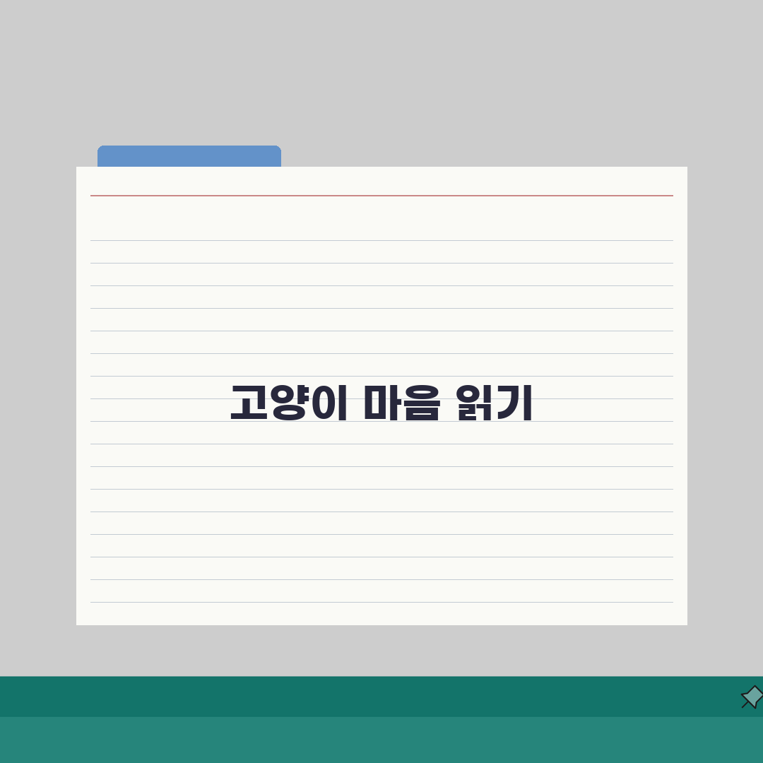 반려묘 행동 이해하기, 우리 아이 속마음 읽는 법